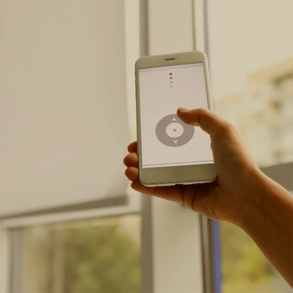 Interior Design Excellence